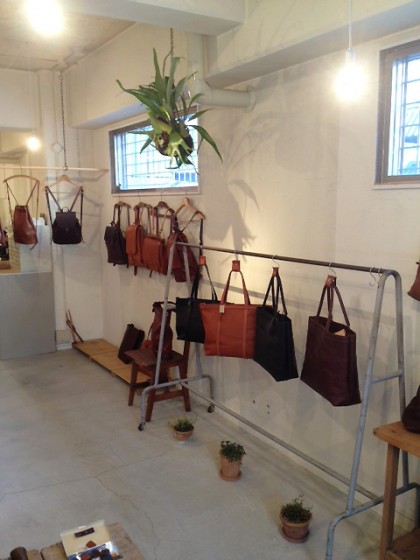 コウモリランかウィリンキー