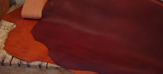 ミネルバリスシオ