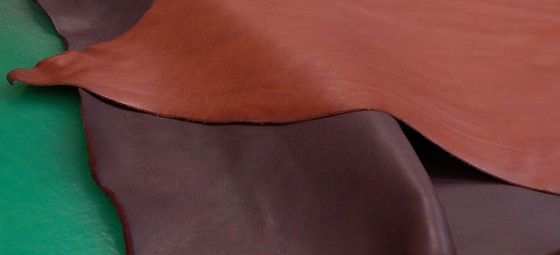 ミネルバボックス