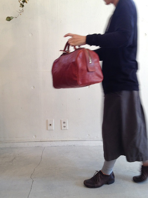 ミニボストンのある風景