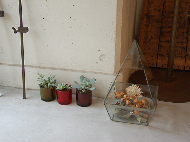 マリさん一押しのガラスケース