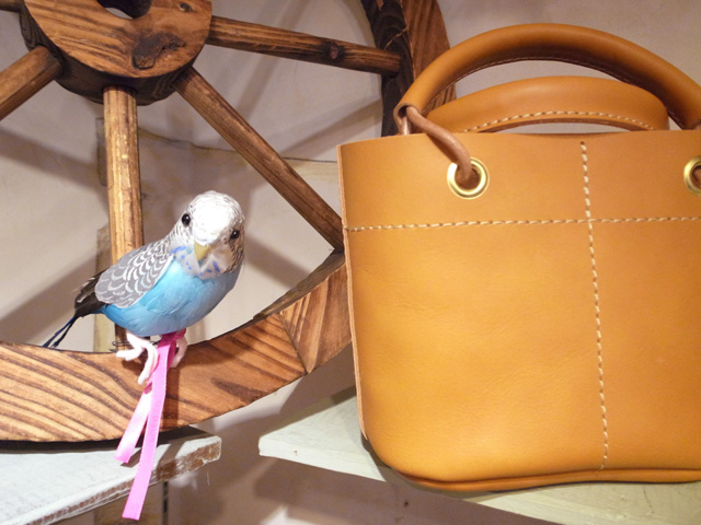 ひーせさん(左)