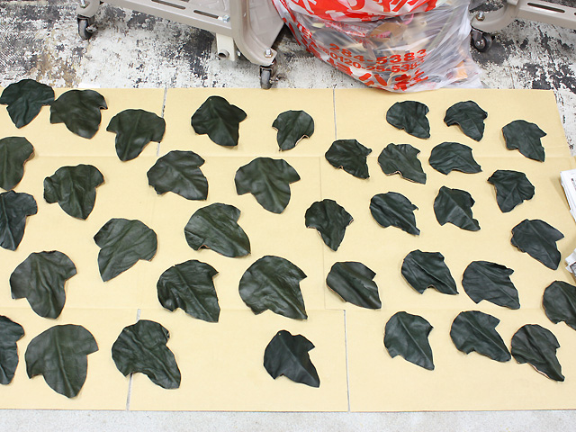 ワカメではありません