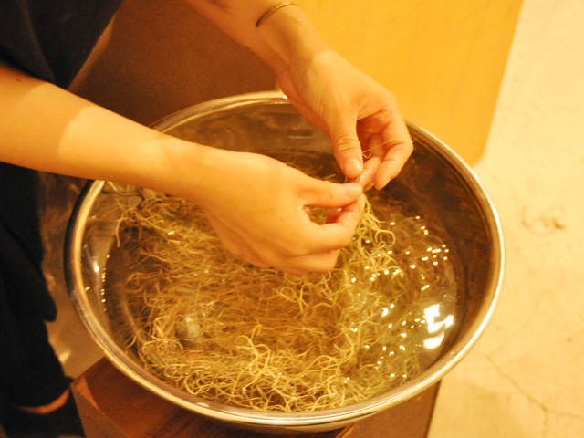 エアープラント