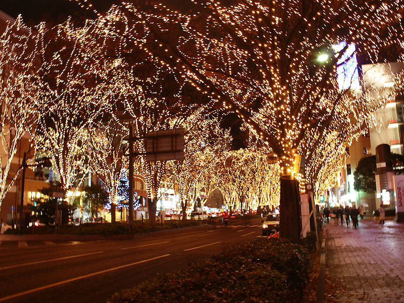 光のページェント2