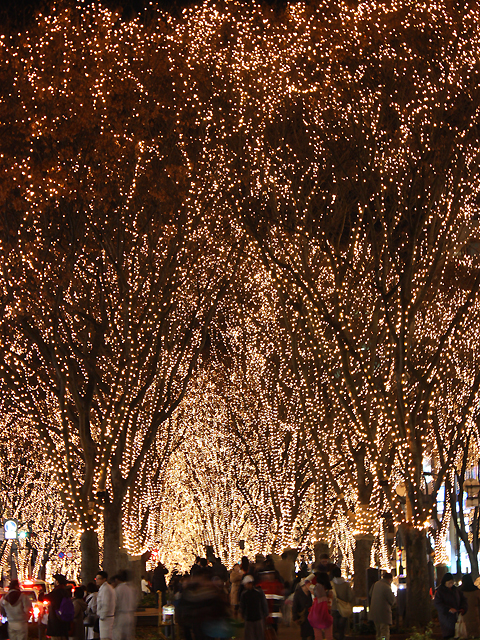 光のページェント