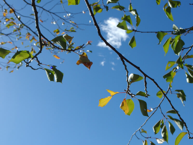 1 みなさんこんにちは