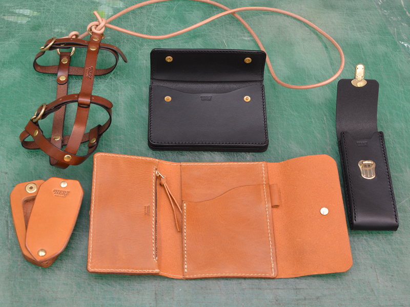 マルチケース企画 FS