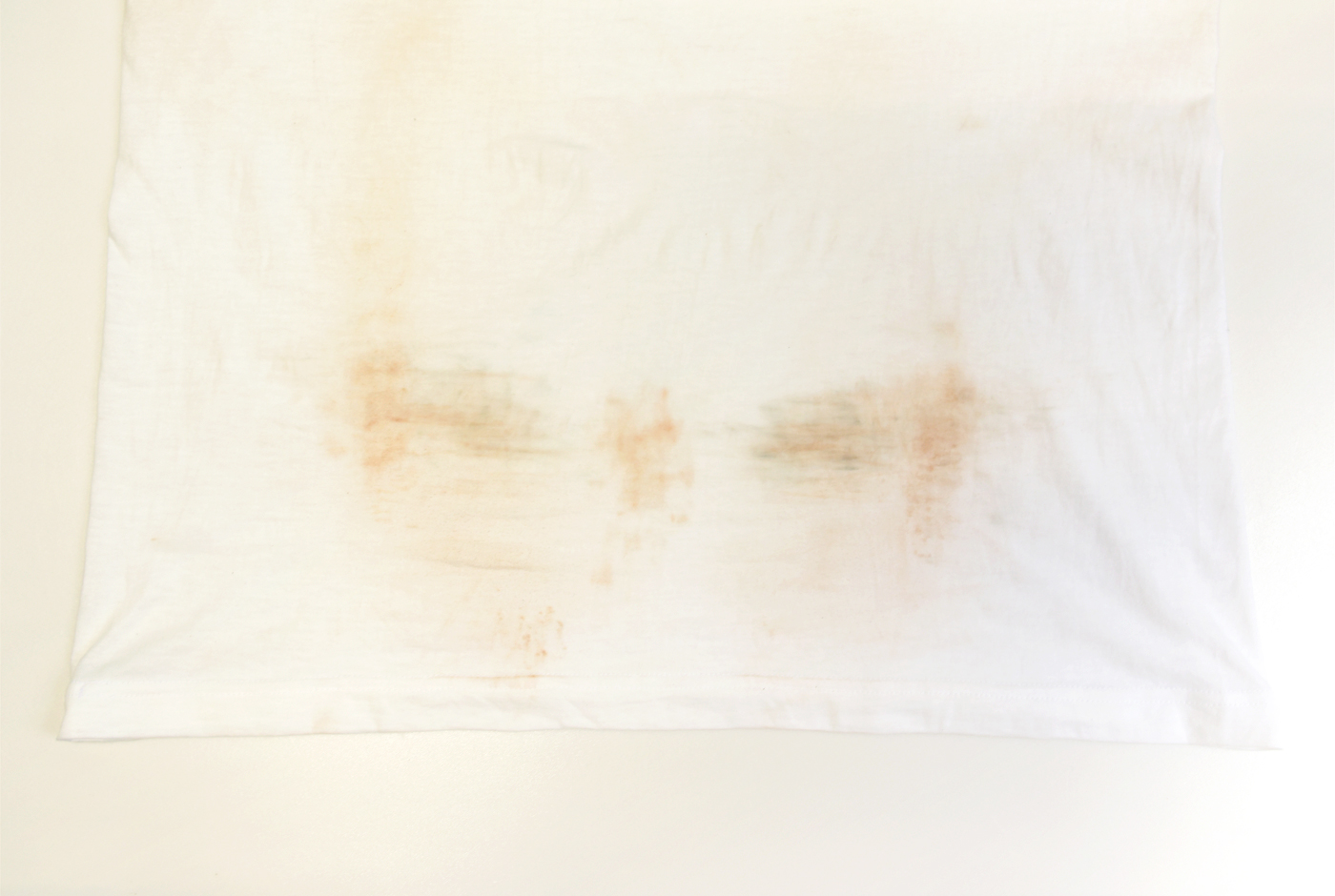 HERZなんでも実験室 Vol.2 番外編 白T