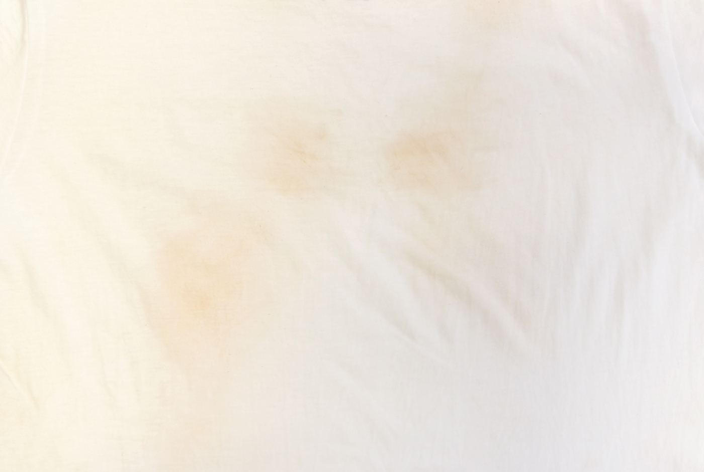 HERZなんでも実験室 Vol.2 番外編 白T