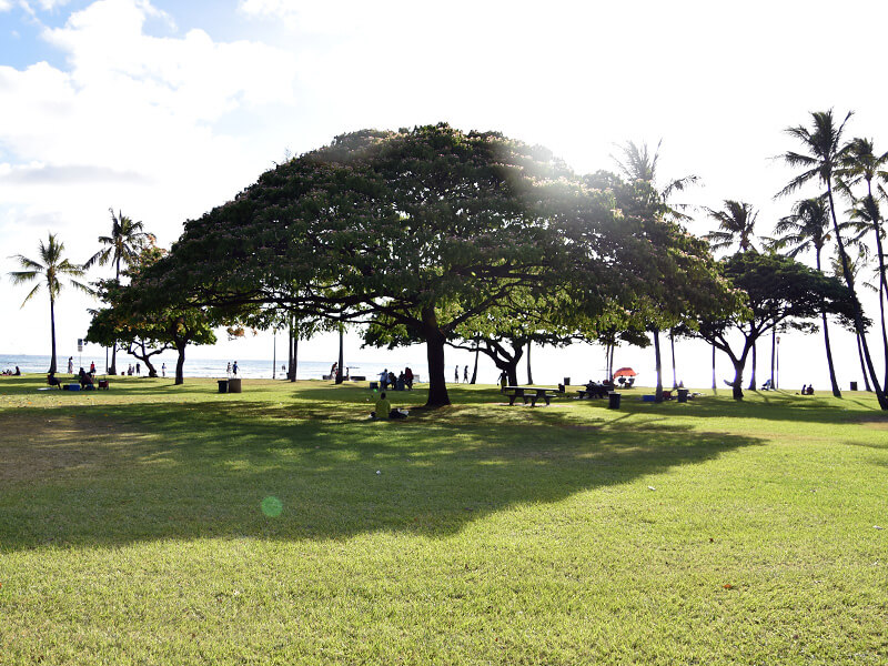 HERZのボストンバックを持ってお出かけしてみてはいかがですか?