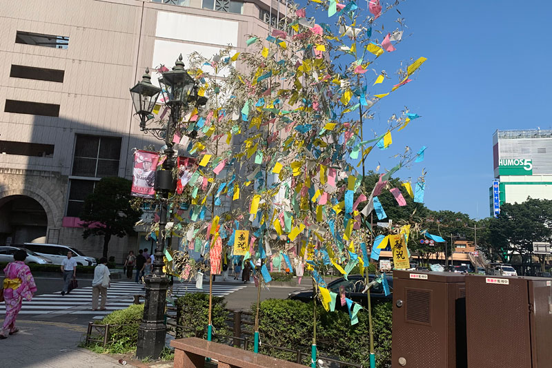 仙台七夕まつり3