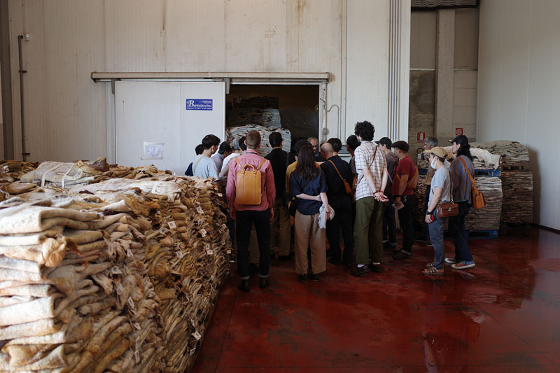 イタリアタンナー見学2