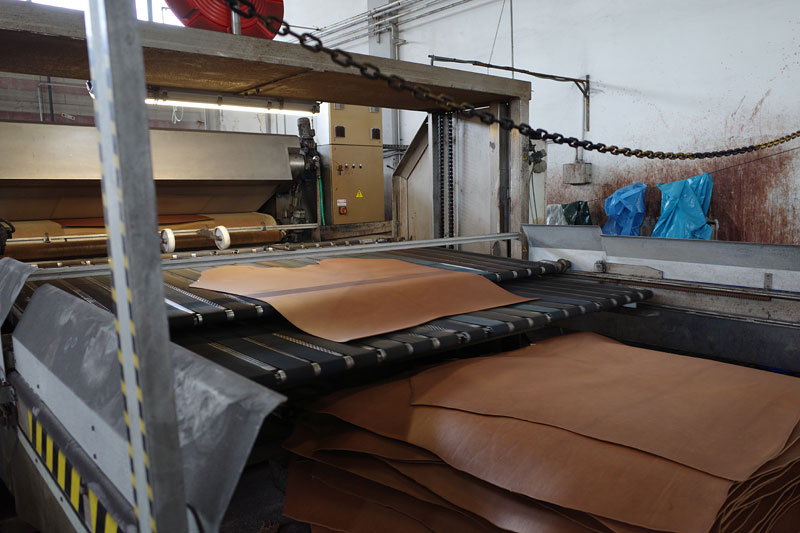 イタリアタンナー見学4