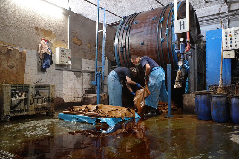 イタリアタンナー見学10