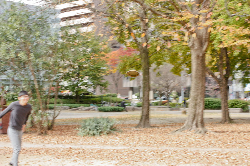 レザーフリスビー 使用例2