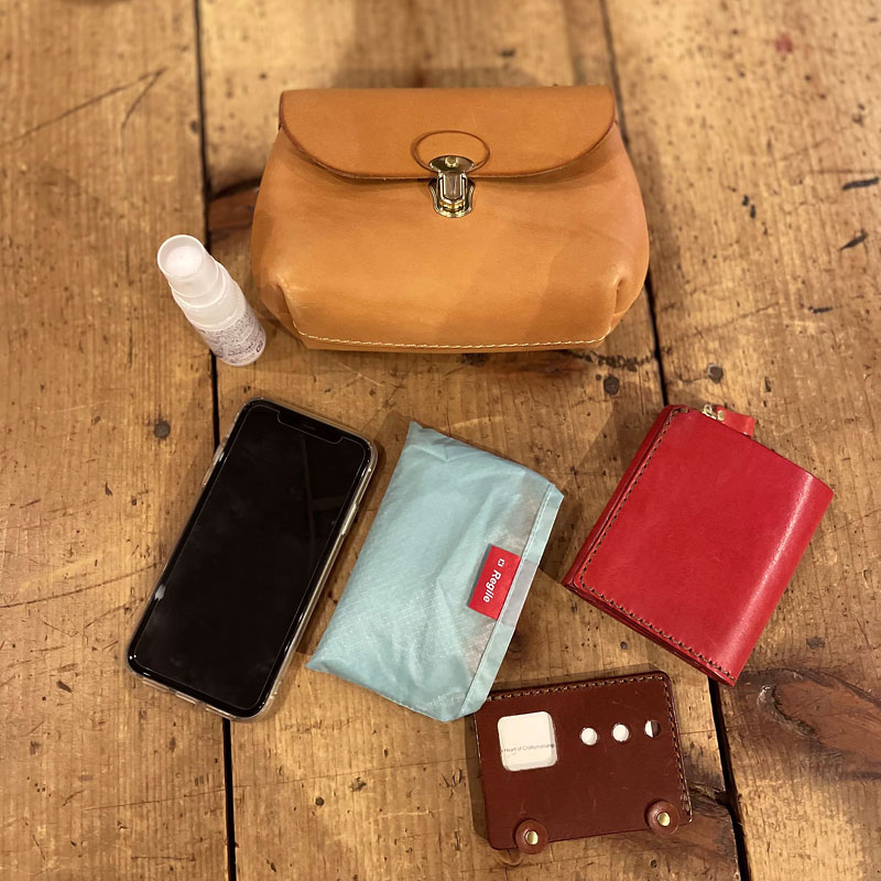 ポンポネポシェット(MB-2101) 収納例