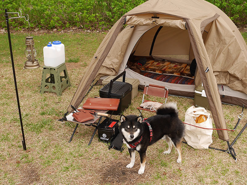 キャンプの様子-2