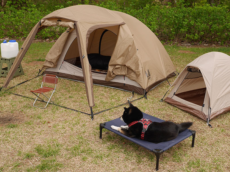 キャンプの様子-1