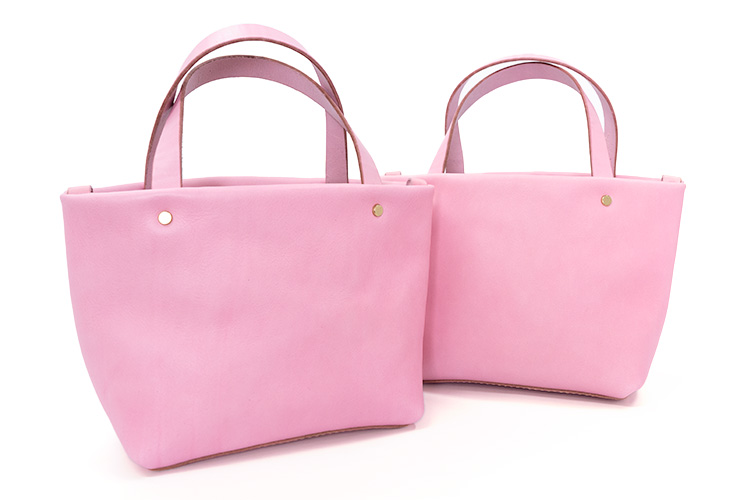 フツウトート(NSB-235)