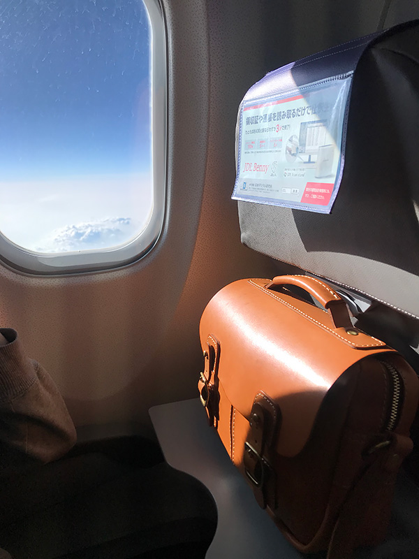 ホリデーウォーカー(BE-2541)　レポート