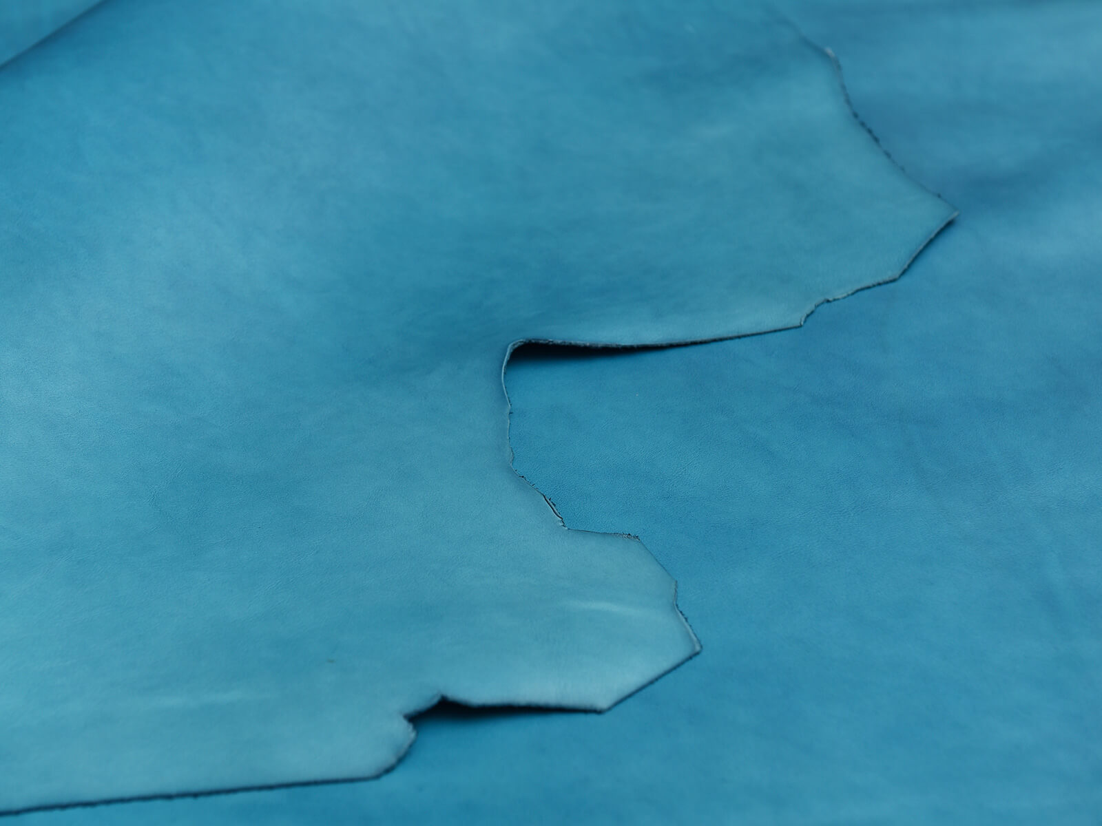 限定色のセルリアンブルー革、オンラインショップ第2弾販売アイテム開始