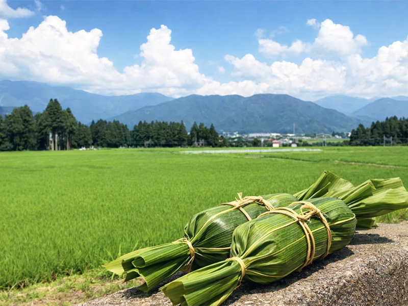 NETたいき「新潟の風景」